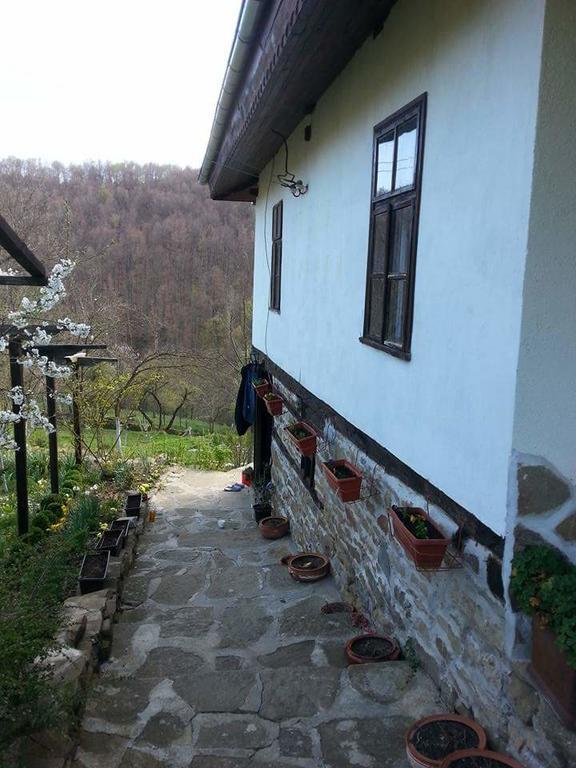 Къща За Гости Ножери Tryavna Luaran gambar